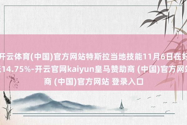 开云体育(中国)官方网站特斯拉当地技能11月6日在好意思股收涨14.75%-开云官网kaiyun皇马赞助商 (中国)官方网站 登录入口