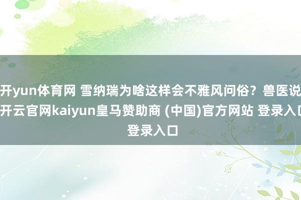 开yun体育网 雪纳瑞为啥这样会不雅风问俗？兽医说-开云官网kaiyun皇马赞助商 (中国)官方网站 登录入口
