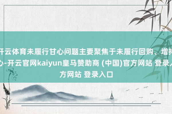 开云体育未履行甘心问题主要聚焦于未履行回购、增持甘心-开云官网kaiyun皇马赞助商 (中国)官方网站 登录入口