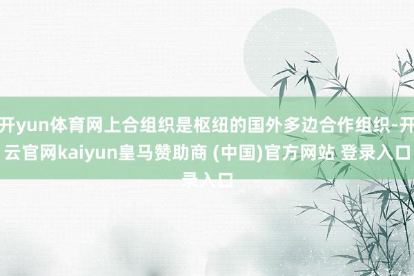 开yun体育网上合组织是枢纽的国外多边合作组织-开云官网kaiyun皇马赞助商 (中国)官方网站 登录入口