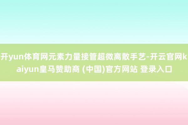 开yun体育网元素力量接管超微离散手艺-开云官网kaiyun皇马赞助商 (中国)官方网站 登录入口